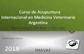 Curso de Acupuntura Internacional - imavat.org Curso de Acupuntura Internacional ON LINE... · 2 Curso de Acupuntura Internacional en Medicina Veterinaria 2018 IMAVAT – Argentina