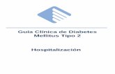 Guía Clínica de Diabetes Mellitus Tipo 2 Hospitalizaciónhsaiu.intramed.mx/documentos/direccion_medica/guias_clinicas/SAIU... · Los pacientes con EHHNC la administración de soluciones