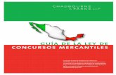 Guia de la Ley de Concursos Mercantiles · declaración de Concurso mercantil, la conciliación y la quiebra. ... económico que tuvo México desde la promulgación de la LQSP en