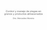 Control y manejo de plagas en granos . Mercedes Moreiraarrozrojo.info.ve/documentos/moreira_mercedes_01.pdf · en las bandas transportadoras de granos. Pelícano: Es una bolsa de
