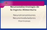 Neuroendocrinología de la Ingesta Alimentaria€¦ · objetivos de los neurotransmisores unidos a los factores ambientales y genéticos que contribuyen a la obesidad. N H H H H H
