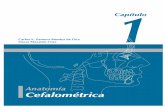Cefalométrica - Editorial Amolca Colombiaamolca.com.co/images/stories/amolca/odontologia/odontologia... · nor variación que las medidas angulares, ya que solo utilizan dos puntos