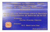Universidad de las Américas – Puebla Escuela de …catarina.udlap.mx/u_dl_a/tales/documentos/leia/choussy_c_d/... · ÂProponer un método de concentración o Proponer un método