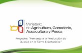 Proyecto: “Fomento a la Producción de Quinua en la Sierra ... Tapia.pdf · en las provincias de la Sierra Ecuatoriana, facilitando al productor el acceso a los factores de producción,