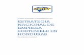 ESTRATEGIA NACIONAL DE EMPRESA …comunidadilgo.org/cohep/estrategia2.pdf · que requiere un sector empresarial pujante que contribuya en mejor forma al desarrollo económico del