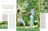 integración corporal Las fascias ... - yoga-terapeutico.comyoga-terapeutico.com/Articulos-pdf/Fascias.pdf · extensión del organismo, com-pactándool d, ándole forma, com- ...