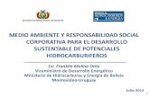 MEDIO AMBIENTE Y RESPONSABILIDAD SOCIAL … · El sector de hidrocarburos es uno de los sectores más dinámicos en Bolivia por su ... Contribución de los Hidrocarburos en la Economía