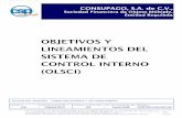 Manual de Auditoría - consupago.com · vigencia de los Objetivos y Lineamientos del Sistema de Control Interno (OLSCI). Comité de Auditoría 'Propone al Consejo el Sistema de Control