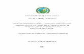 UNIVERSIDAD DE COSTA RICA - iij.ucr.ac.criij.ucr.ac.cr/wp-content/uploads/bsk-pdf-manager/2017/06/Nuevas... ·