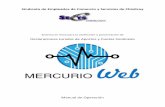 Sindicato de Empleados de Comercio y Servicios de …moriggia.no-ip.biz/mercurioweb/MercurioWeb_Manual.pdf · Consideraciones Generales Descripción, compatibilidad y requisitos mínimos