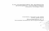 Los cerambícidos de Andalucía (Coleoptera: … · Antonio Verdugo Páez Córdoba, Octubre de 2004 ISSN 1699-2679 Monográfico nº 1 Sociedad Andaluza de Entomología . ... (FSP):