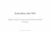 Subsidios del SFS - Pantallas - tss.gov.do · – Consulta de Subsidios del SFS PARA USO INTERNO SOLAMENTE. Subsidios de Maternidad & Lactancia PARA USO INTERNO SOLAMENTE. Registro
