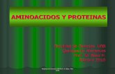 AMINOACIDOS Y PROTEINAS - Blog de Yorshyorsh.typepad.com/files/ii_aasproteinas1.2_feb_10.pdf · Facultad de Ciencias USB Prof. M. Báez. Feb. 2010. AMINOACIDOS Y PROTEINAS. 1. Introducción