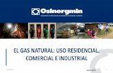EL GAS NATURAL: USO RESIDENCIAL, … · •El Gas Natural es una mezcla de hidrocarburos ligeros en la que el metano (CH 4) es el componente principal, acompañado de otros