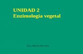 UNIDAD 2 Enzimología vegetalecaths1.s3.amazonaws.com/fitoquimicafbqf/150103235.TEMA 2 FITO.pdf · El objetivo de un método cromatográfico es alcanzar un perfil de elución en la