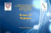 Tema V: Tejidos - biologiasi.weebly.combiologiasi.weebly.com/uploads/4/0/1/0/40103559/tema_v_tejidos_1.pdf · Tejidos República Bolivariana de Venezuela ... PLURICELULARES En los