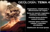 GEOLOGÍA: TEMA 3. - exa.unne.edu.ar GEOLOGÍA tema 4.pdf · ORIGEN DE LAS ROCAS IGNEAS. 5. 6 El magma. Concepto El magma es una mezcla de materiales rocosos fundidos total o parcialmente,