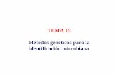 TEMA 15 Métodos genéticos para la identificación …asignatura.us.es/mbclinica/docs/recursos/12/tema-15.pdf · Tipos de hibridación 2.3.1. Hibridación en solución 3. Técnicas