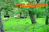 Los árboles - antoniovyckovilchez · al no existir, el ganado terminaría perdiendo peso, produciendo menos leche e incluso, muriendo. Proyecto enfoques silvopastoriles 5 integrados