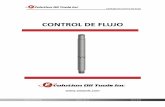 CONTROL DE FLUJO - Flow Control | Completions De Flujo (FC).pdf · de flujo de control dispositivos (aunque configurado de forma diferente) asi como selectivo y fondo de pozo No-Go