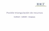 Posible triangulación de recursos - idet.org.mx³n.pdf · No intervino en el proceso de contratación, ni selección de las personas que prestan o prestaron servicios a la Cofetel.