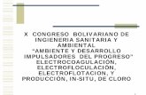 X CONGRESO BOLIVARIANO DE INGIENERIA … · 1 x congreso bolivariano de ingieneria sanitaria y ambiental “ambiente y desarrollo impulsadores del progreso” electrocoagulaciÓn,