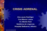 CRISIS ADRENAL - reeme.arizona.edu Adrenal.pdf · 1855 -T.Addison describe el síndrome clínico de insuficiencia suprarrenal.-Brown-Séquard determinó que eran indispensables para