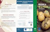 Red de Alerta e Información Fitosanitaria de Andalucía ... Epitrix papa.pdf · En España, se detectó por primera vez E.papa en la Comunidad Autónoma de Galicia en 2009, posteriormente