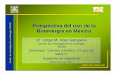Prospectiva del uso de la Bioenergía en México - … · Aplicaciones de la bioenergía en el Mundo ... Escenario futuro de biomasa en el mundo 25% Fuente: Nakicenovic, et al. 1998.