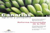 Canarias · Canarias Reforma Intermedia de la PAC GOBIERNO DE CANARIAS CONSEJERÍA DE AGRICULTURA, GANADERÍA, PESCA Y ALIMENTACIÓN agraria y …