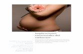 Implica ciones emocio nales del embara zo - Pequeños …pequeñosmaestros.com/wp-content/uploads/2015/05/PBL-Implicacione… · Cuantificar la autoestima de las madres o embarazadas