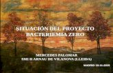 SITUACIÓN DEL PROYECTO BACTERIEMIA ZERO€¦ · situaciÓn del proyecto bacteriemia zero mercedes palomar smi h arnau de vilanova (lleida) madrid 10-11-2015