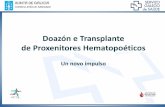 Doazón e Transplante de Proxenitores Hematopoéticos · xeradoras de todas as células do sangue (leucocitos, hematíes, plaquetas) e de diversas células doutros tecidos. O que