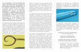 Los nematodos y el ecosistema del suelo: Aspectos …nematologia.com.br/wp-content/uploads/2014/01/texcoco.pdf · la cadena alimentaria del suelo, incluido daño a las plantas. ...