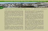 28 Derivación Fuentes de Ágreda - Cueva de Ágredagr86soria.es/topoguia/Fuentes-Cueva.pdf · real, alimoche, culebrera europea, búho real y perdiz pardilla. En ocasiones se observan