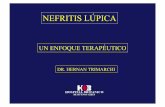 NEFRITIS LÚPICA - Servicio de Nefrología del Hospital ...nefrohospbritanico.org.ar/clases/LUPUSNEFRITIS.pdf · mayor eficacia de altas dosis de prednisona respecto a bajas dosis