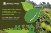 La Agricultura Familiar alimenta a Guatemala y es … · 8 millones de personas de las cuales 1 de cada 2 son indígenas: mayas, xincas o garífunas (Figura 2). ... agricultura familiar