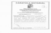 €¦CARATULA NOTARIAL Gobierno Departamental Prefectura Santa Cruz Dra. Cecilia NOTARIA DE GOBIERNO DEPARTAMENTAL INSTRUMENTO N' 238/2008 . …