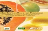La fruticultura en PanamLa fruticultura en Panamáárepiica.iica.int/docs/B0760e/B0760e.pdf · 14 Consumo aparente de plátano y piña: 1997-2004 37 15 Consumo aparente de manzana