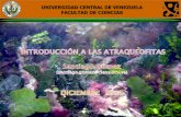 UNIVERSIDAD CENTRAL DE VENEZUELA … · (plantas vasculares) sin semilla con semilla angiospermas gimnospermas . universidad central de venezuela facultad de ciencias briofitas