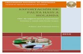 EXPORTACIÓN DE PALTA HASS A HOLANDA · 4.3 Exportaciones de paltas peruanas 4.4 Proveedores Nacionales . EXPORTACIÓN DE PALTA HASS A HOLANDA Universidad Nacional de Ingeniería