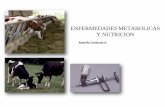 ENFERMEDADES METABOLICAS Y NUTRICION - … Animal 2014/EnfemMetab.pdf · •Practicas de Alimentacion para reducer ... • Con un leve movimiento de inversión se mezclan la sangre