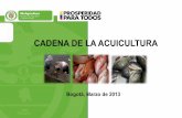 CADENA DE LA ACUICULTURA - … · 2. PRODUCCION PISCICULTURA POR DEPARTAMENTOS EN TONELADAS • El Huila es el primer productor piscícola a nivel nacional con el 42% de la producción