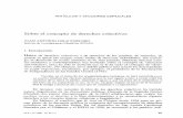 Sobre el Concepto de Derechos Colectivos - e-spacioe-spacio.uned.es/fez/eserv/bibliuned:filopoli-1998-12-6526C458-9AF... · der cómo se usa el término «derecho colectivo» y aclarar