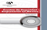 Sondeo de Seguridad Empresarial en México · Este año, el Sondeo de Seguridad fue respondido principalmente por Presidentes, Directores Generales y ... Kroll cuenta con más de