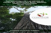 Silvicultura de las selvas de - conafor.gob.mx:8080 de las... · más importante de América Latina, (Whitmore 2003). Designamos a estas selvas como selvas de caoba. Mucho conocimiento