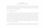 Capítulo 1 Descripción de la empresa - Acervos …catarina.udlap.mx/u_dl_a/tales/documentos/lii/luna_m_d/capitulo1.pdf · diferentes partes que conforman las carrocerías de los