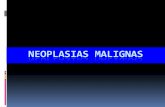 NEOPLASIAS MALIGNAS - ecaths1.s3.amazonaws.comecaths1.s3.amazonaws.com/anatomiapatologicaodontount/1359634903.… · El grado de anaplasia es usada para la gradación del tumor en: