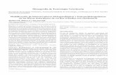 Monografía de Toxicología Veterinaria - rev.aetox.esrev.aetox.es/wp/wp-content/uploads/hemeroteca/vol29-1/95-913-1-PB.… · los que se le añadió previamente una gota de OCT-Compound.