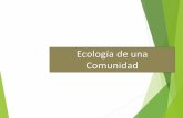 Ecología de una Comunidad¡bitat: Lugar que ocupa una especie dentro del espacio físico de la comunidad. Por ejemplo: el hábitat del huemul en Chile es en la cordillera de los Andes